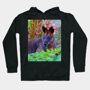 The Swamp Wallaby ! Hoodie